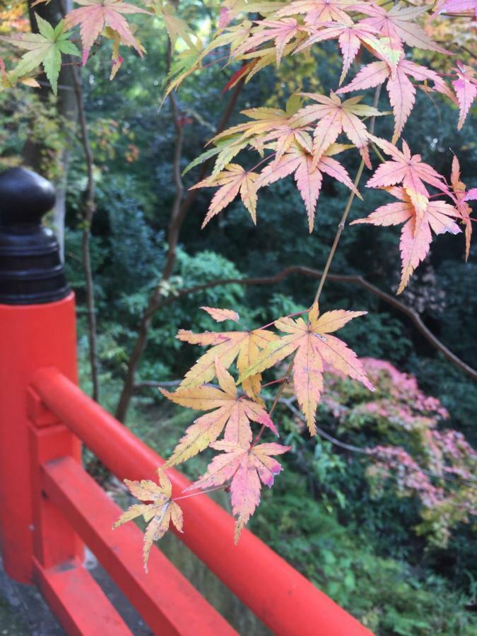 Kyo-Anthu Inn Kyoto Exteriör bild